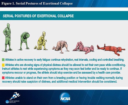 Risk Factors And Precautions For Rhabdomyolysis