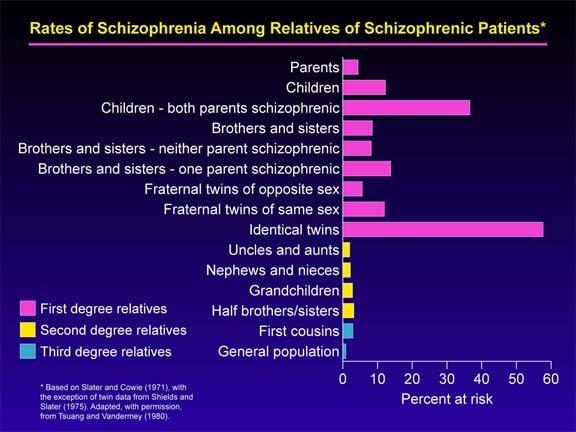 Risk Factors And Precautions For Schizophrenia