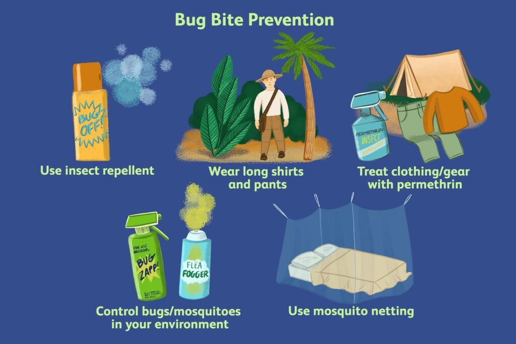Risk Factors And Precautions For Spider Bites