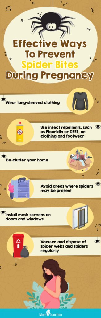 Risk Factors And Precautions For Spider Bites