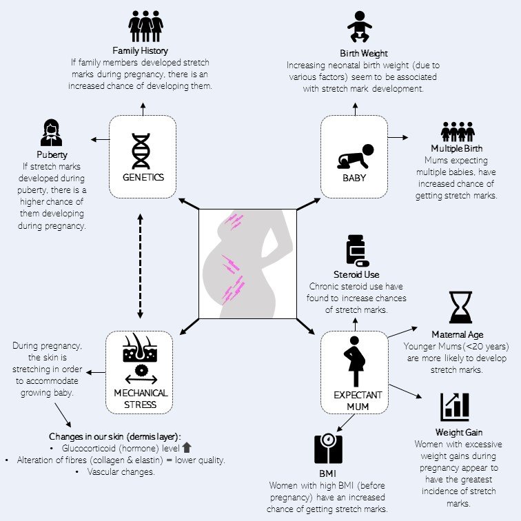Risk Factors And Precautions For Stretch Marks