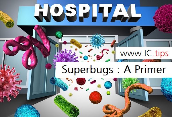 Risk Factors And Precautions For Superbug