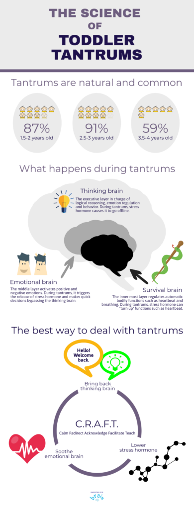 Risk Factors And Precautions For Temper Tantrum