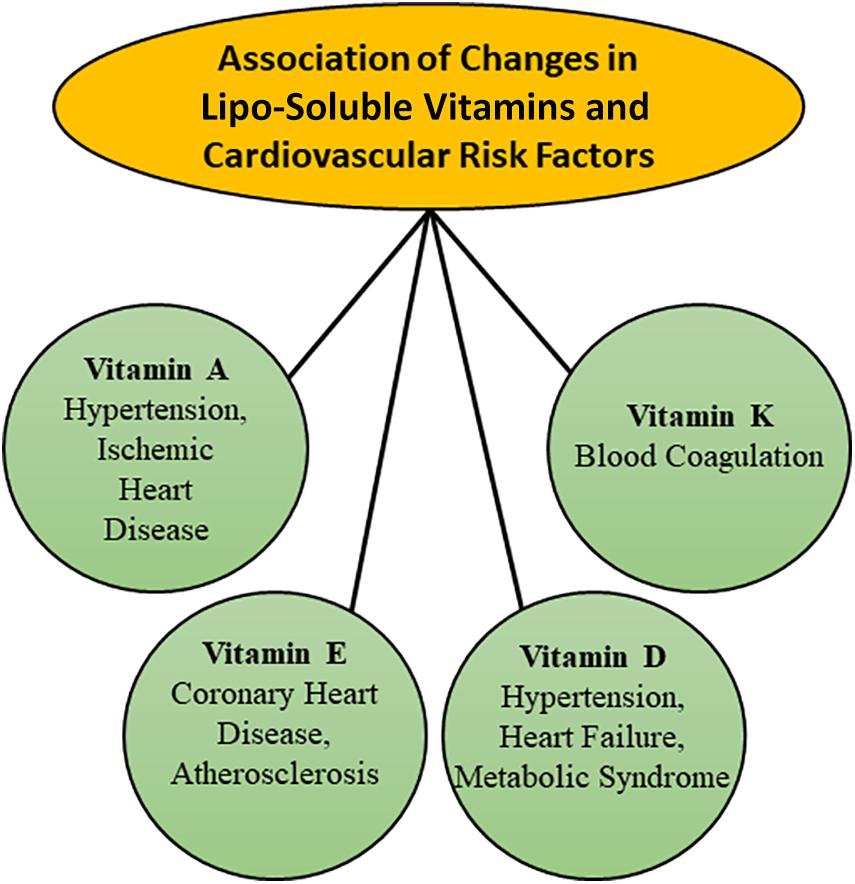 Risk Factors And Precautions For Vitamins And Minerals