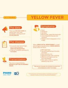 Risk Factors And Precautions For Yellow Fever