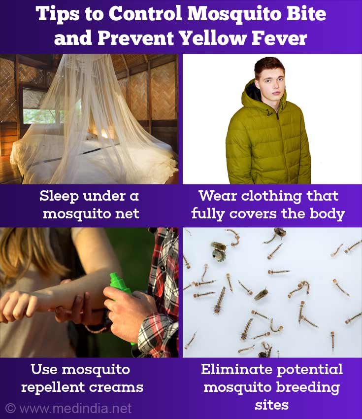 Risk Factors And Precautions For Yellow Fever
