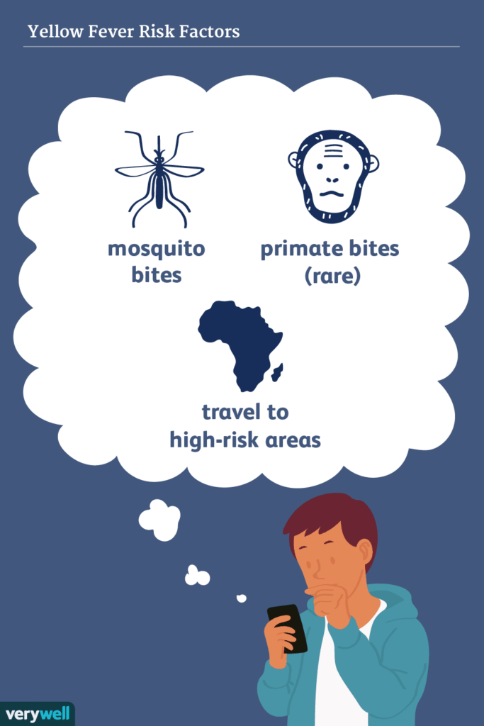 Risk Factors And Precautions For Yellow Fever