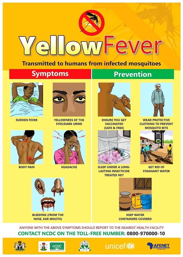 Risk Factors And Precautions For Yellow Fever