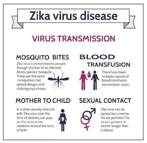 Risk Factors And Precautions For Zika Virus