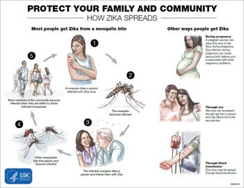 Risk Factors And Precautions For Zika Virus