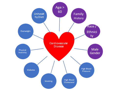 Risk Factors Associated with Heart Disease