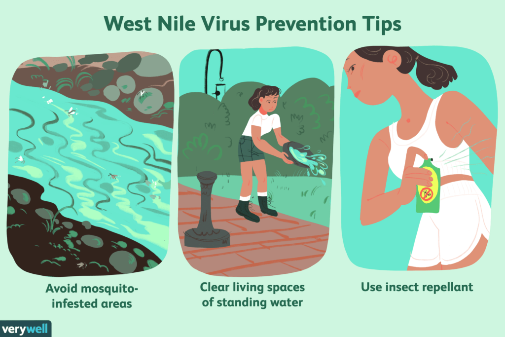 Symptoms and Treatment of West Nile Virus Infection