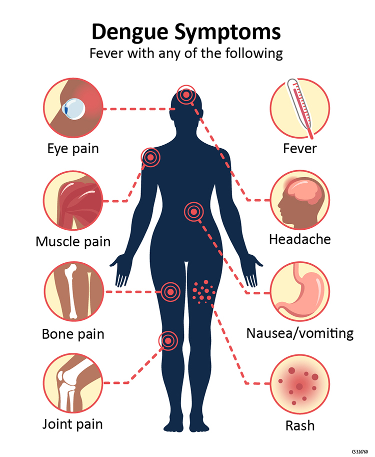 The Deadly Impact of Dengue Hemorrhagic Fever The Deadly Impact of Dengue Hemorrhagic Fever
