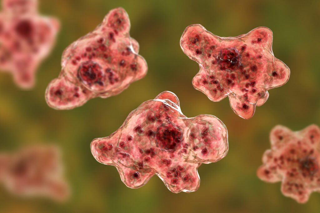 The Devastating Consequences of Brain-Eating Amoeba