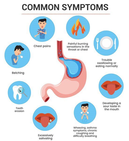 The Effects of Acid Reflux on Your Digestive System