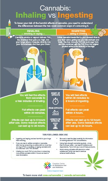 The Effects of Cannabis on Addiction