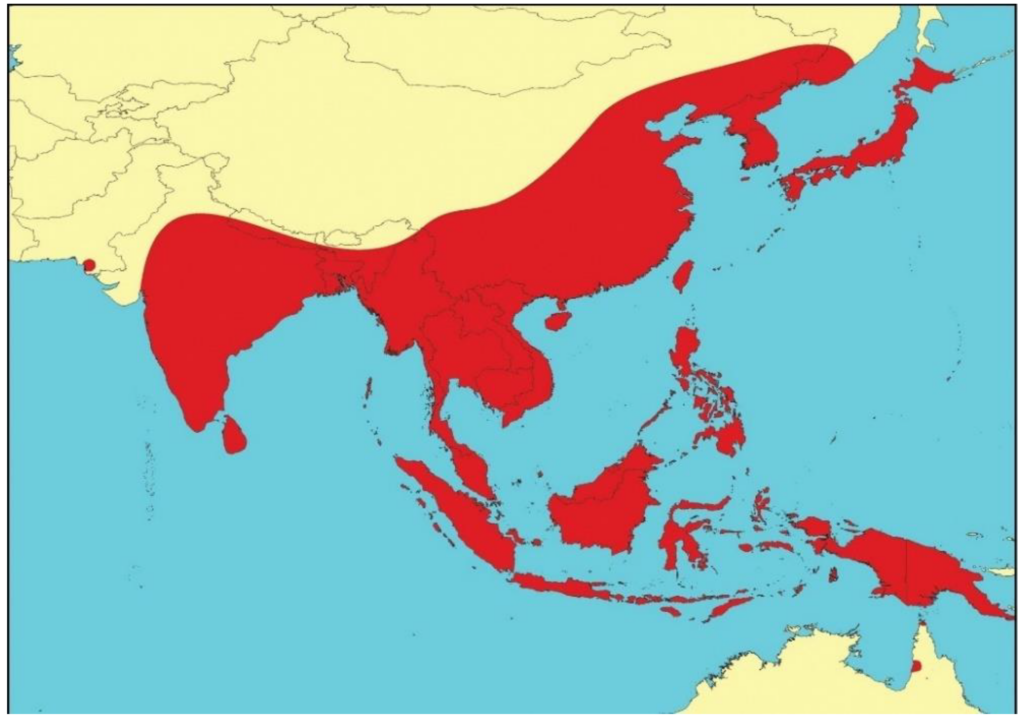 The Emergence and Spread of Japanese Encephalitis Virus