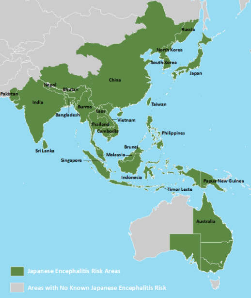 The Emergence and Spread of Japanese Encephalitis Virus