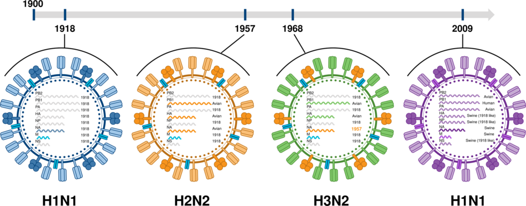 The Global Challenge of Influenza