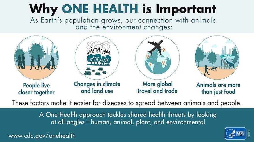 The Global Threat of Bird Flu