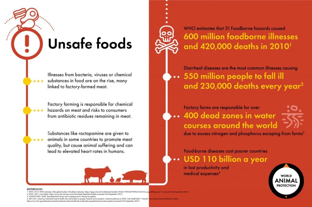 The Hidden Dangers of Foodborne Diseases