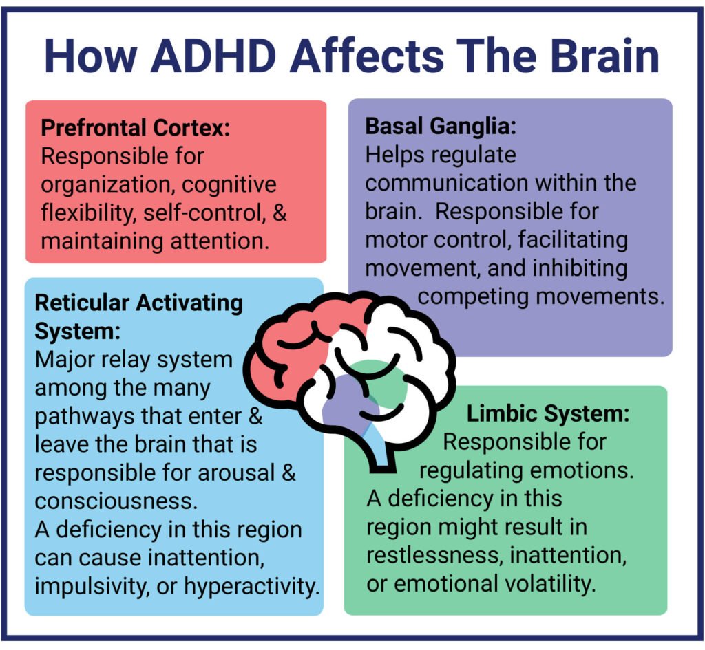 The Impact of ADHD on Daily Life