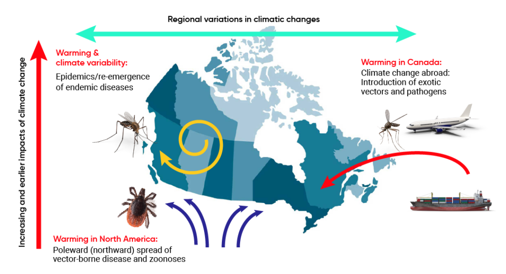 The Impact of Climate Change on Anaplasmosis Spread
