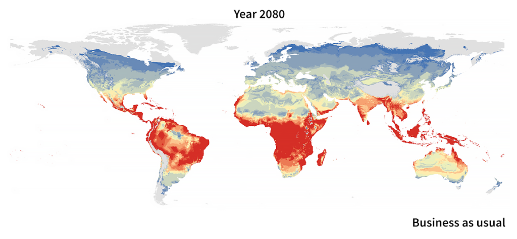 The Impact of Climate Change on Anaplasmosis Spread