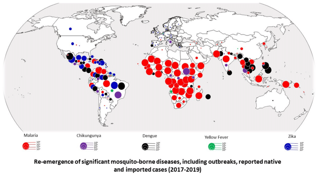 The Impact of Mosquito-borne Diseases