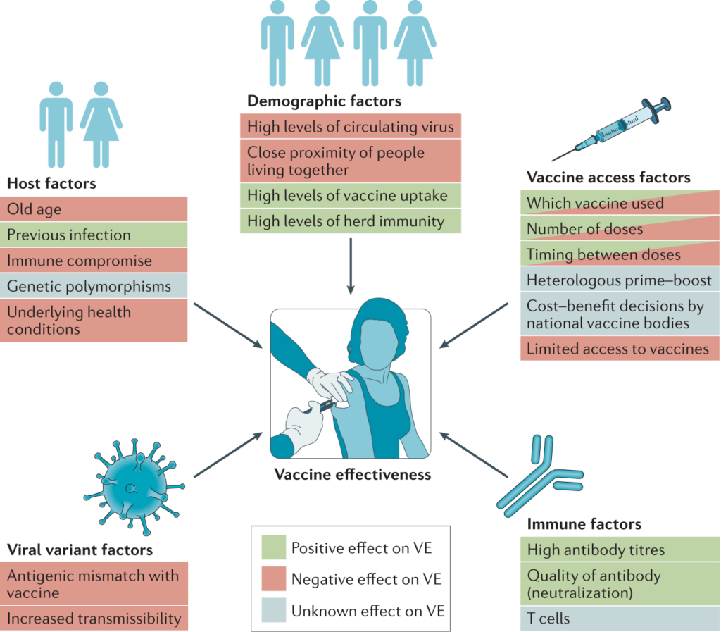 The Impact Of Variants On Vaccine Efficacy