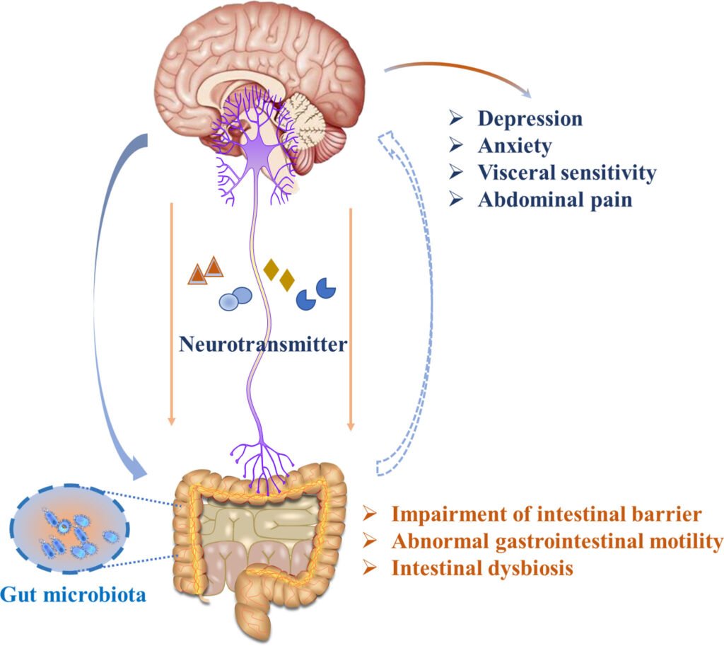 The Link Between Constipation and Your Mental Health: Exploring the Gut ...