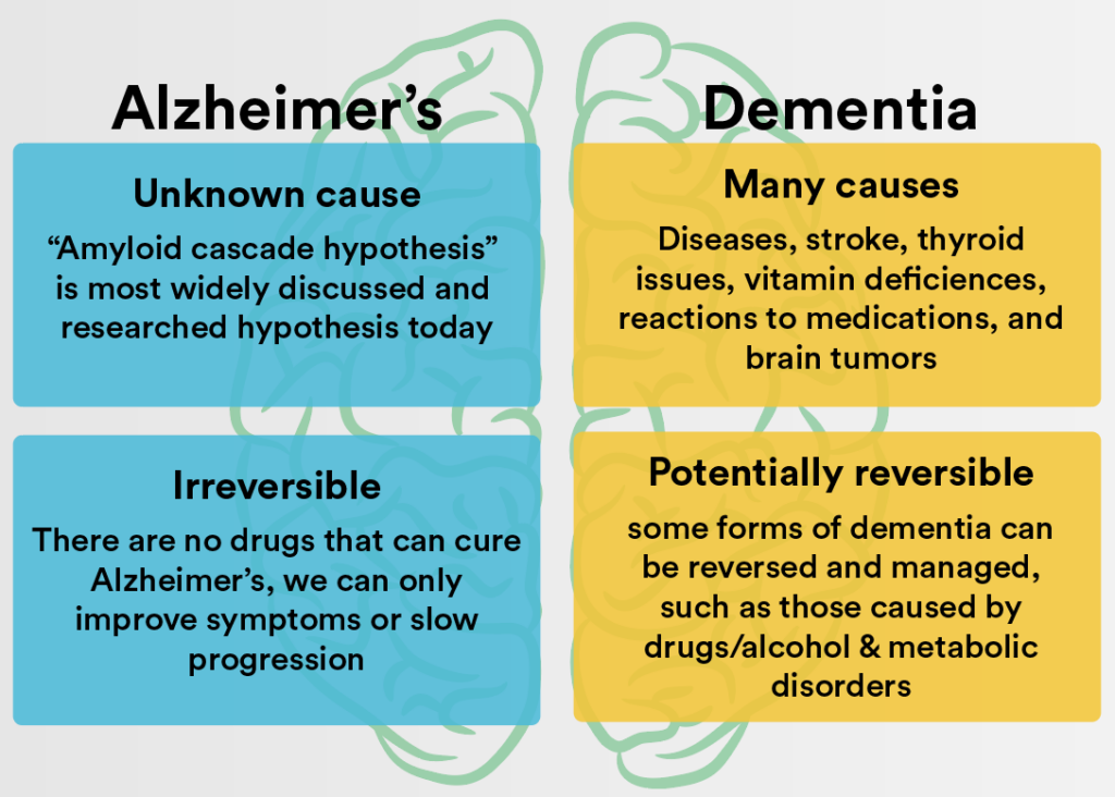 The Link Between Dementia and Alzheimers