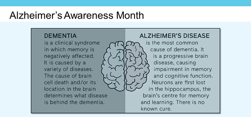 The Link Between Dementia and Alzheimers