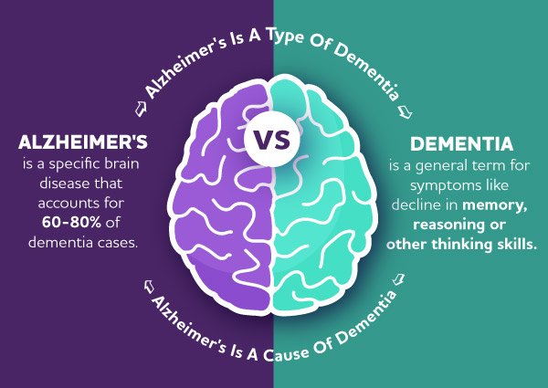 The Link Between Dementia and Alzheimers