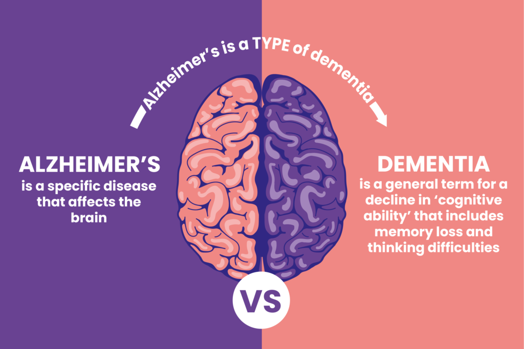 The Link Between Dementia and Alzheimers