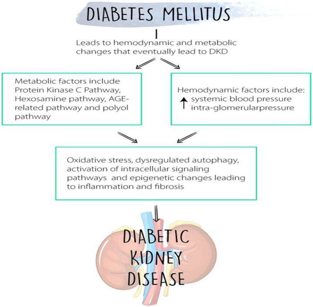 The Link Between Diabetes and Acute Renal Failure The Link Between Diabetes and Acute Renal Failure