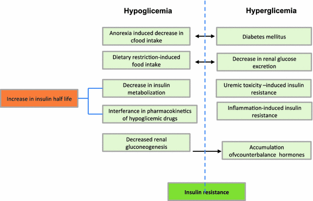 The Link Between Diabetes and Acute Renal Failure The Link Between Diabetes and Acute Renal Failure