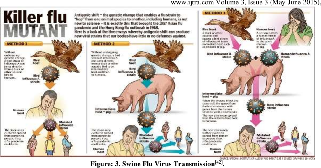 The Origins of Influenza in Swine
