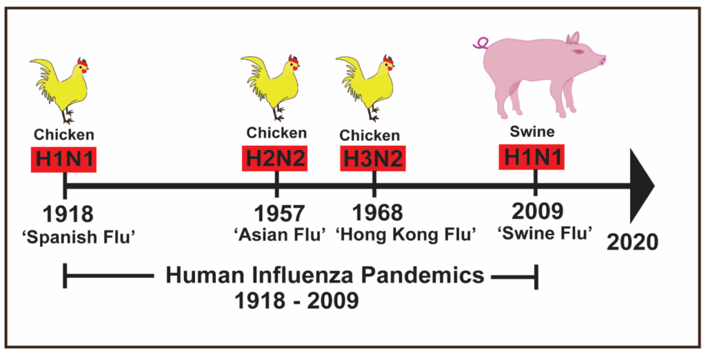 The Origins of Influenza in Swine