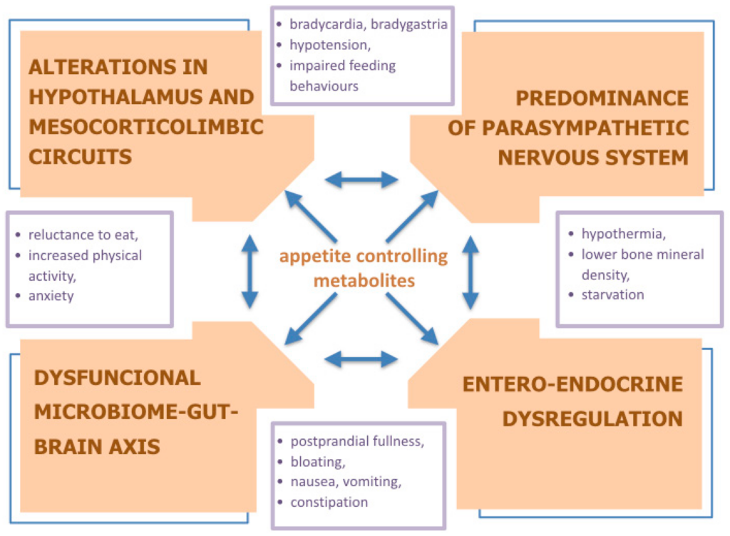The Psychological Effects of Anorexia: A Deep Dive into the Mind