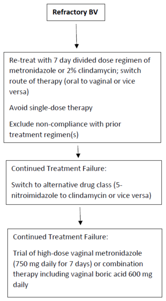 The Role of Antibiotics in Treating Bacterial Vaginosis