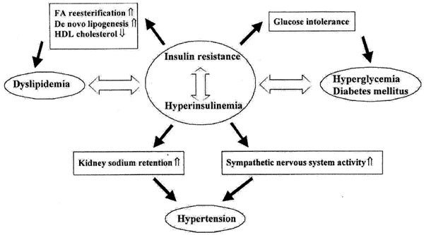 The Role of Insulin Resistance in Metabolic Syndrome