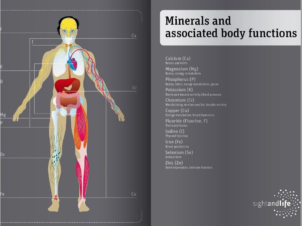 The Role of Vitamins and Minerals in Your Health The Role of Vitamins and Minerals in Your Health