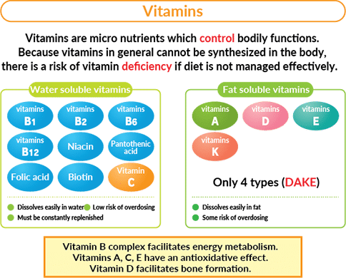 The Role of Vitamins and Minerals in Your Health The Role of Vitamins and Minerals in Your Health