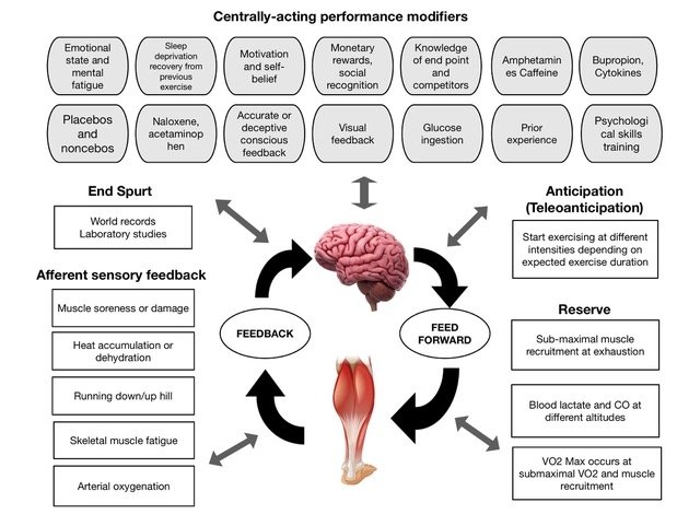 The Science of Fatigue