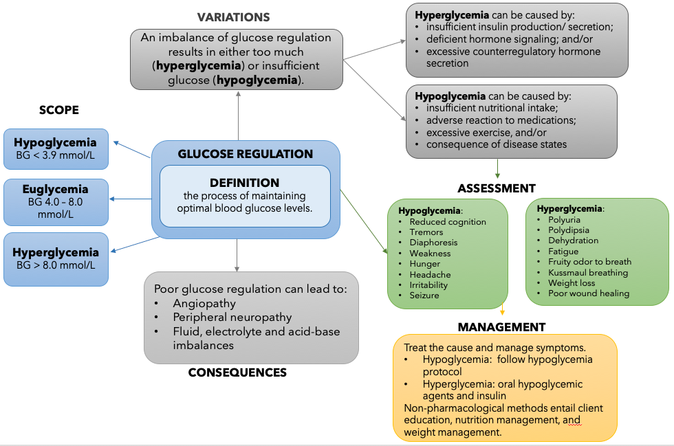 Top Nursing Considerations for Endocrine System Disorders