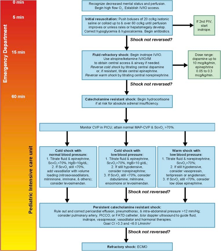 Treating Meningococcal Disease: A Comprehensive Approach
