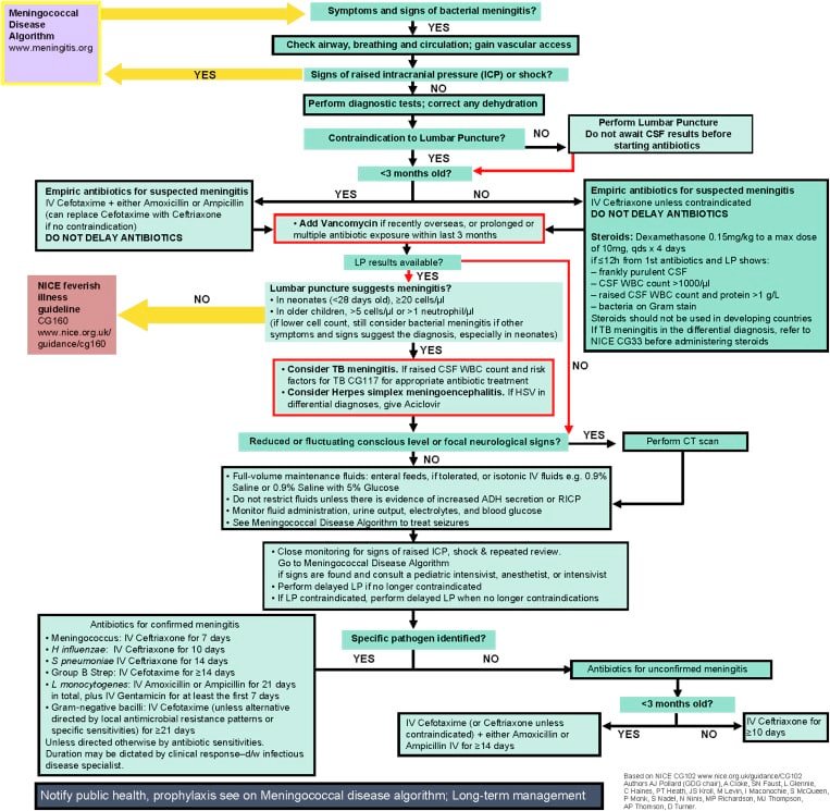 Treating Meningococcal Disease: A Comprehensive Approach