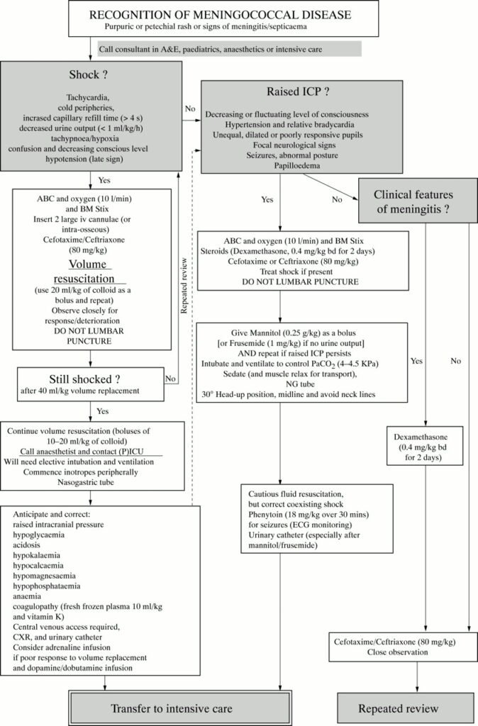 Treating Meningococcal Disease: A Comprehensive Approach