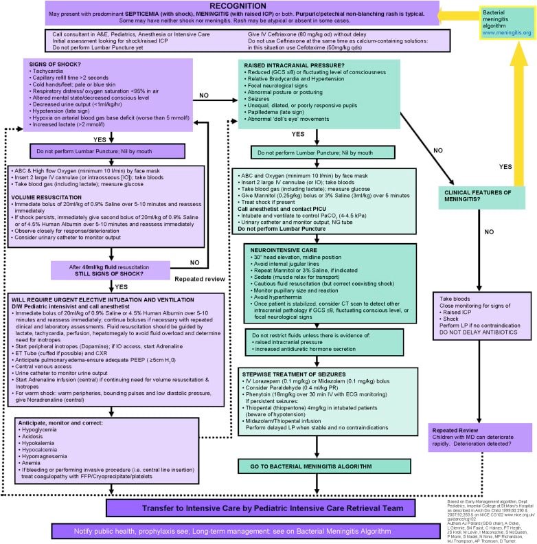 Treating Meningococcal Disease: A Comprehensive Approach